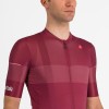 Herren Trofeo Giro d'Italia 2024 Trikot-Bordeaux Herren Trofeo Giro d'Italia 2024 Trikot-Bordeaux