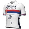 Herren Ale Bahrain Victorious 2024 trikot-Britischer Meister