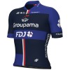Herren Ale Groupama FDJ 2024 trikot