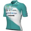 Herren Ale VF Group-Bardiani CSF-Faizane 2024 trikot
