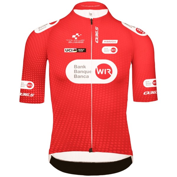 Herren Q36.5 Tour de Suisse 2024 Gregarius Pro trikot-Climber