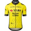 Herren Agu Team Visma Lease Trikot bei bike 2024