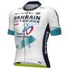 Herren Ale Bahrain Victorious 2025 PRS 2.0 trikot Herren Ale Bahrain Victorious 2025 PRS 2.0 trikot