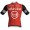 Herren Team Arkea-B&B Hotels 2025 Official Rosti trikot