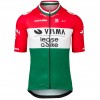 Herren Team Visma Lease a bike 2025 trikot-Ungarischen Meister