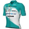 Herren Ale VF Group-Bardiani CSF-Faizane 2025 trikot