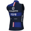 Herren Ale Groupama FDJ 2025 weste