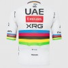 Herren UAE Team Emirates 2025 Magistrale Pissei trikot-Tadej Pogacar