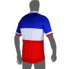 FRANCAISE DES JEUX (FDJ) Französischer Meister 2014/2015 Kurzarmtrikot (kurzer Reißverschluss) -B'TWIN Radsport-Profi-Team