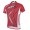 2014 Fox Bike Team Radtrikot Kurzarm Rot