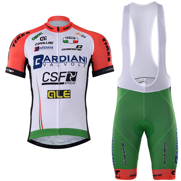 2017 BARDIANI CSF Fahrradbekleidung Satz Radtrikot Kurzarm+Kurz Trägerhose