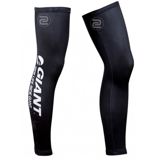 2014 Giant Rad Beinlinge